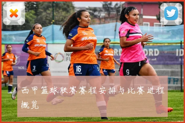 西甲篮球联赛赛程安排与比赛进程概览