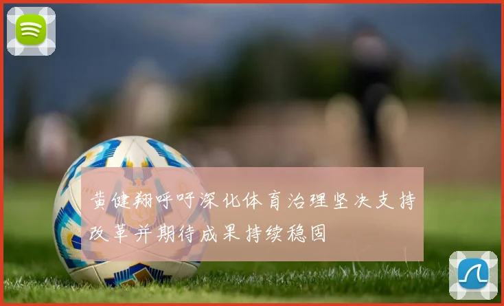 黄健翔呼吁深化体育治理坚决支持改革并期待成果持续稳固