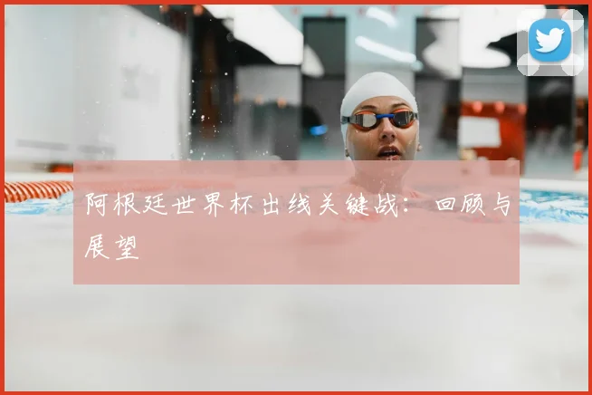 阿根廷世界杯出线关键战：回顾与展望