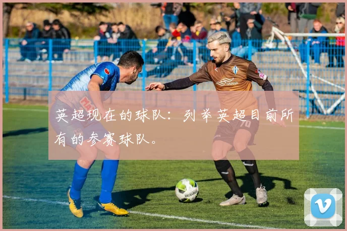 英超现在的球队：列举英超目前所有的参赛球队。